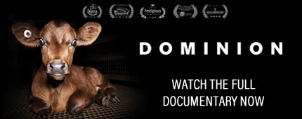 Watch 'Dominion' documentary