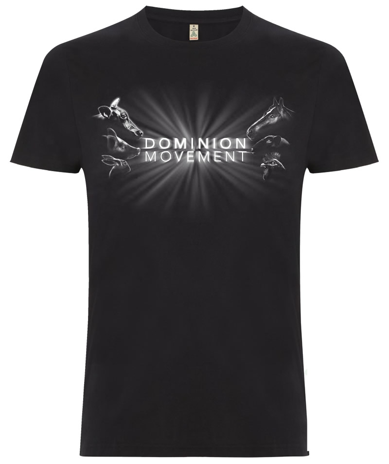 Tshirt: 'light' design