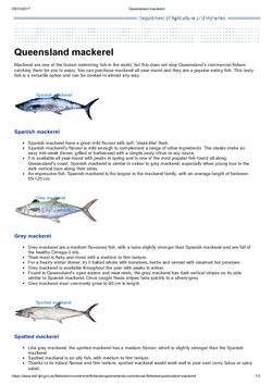 Queensland mackerel - Department of Agriculture and Fisheries