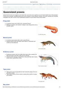 Queensland prawns - Department of Agriculture and Fisheries