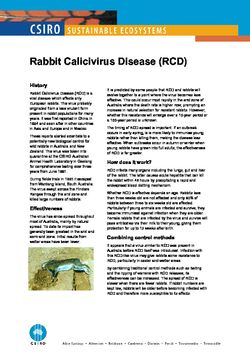 Rabbit Calicivirus Disease (RCD)