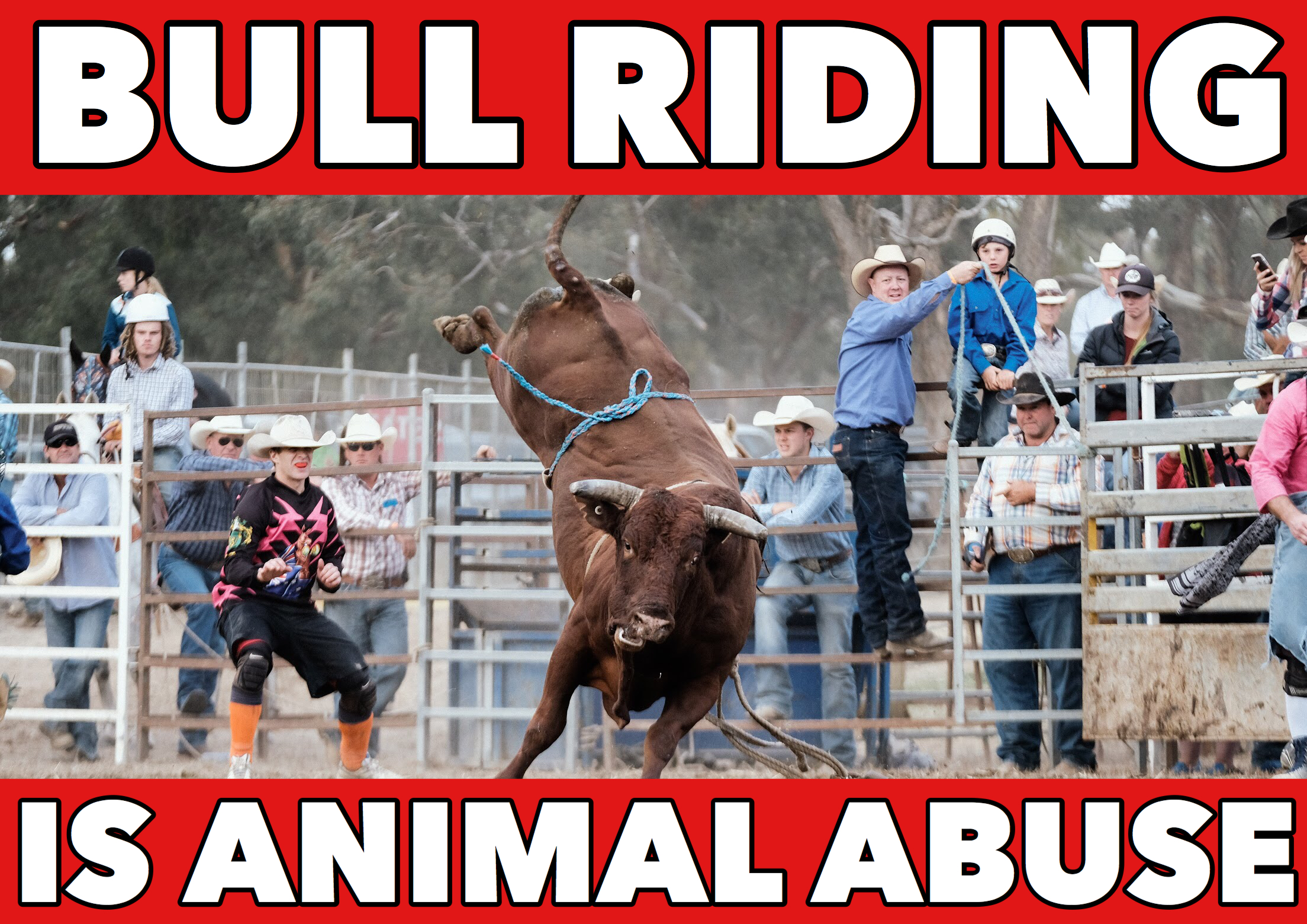 Bull Riding is Animal Abuse poster