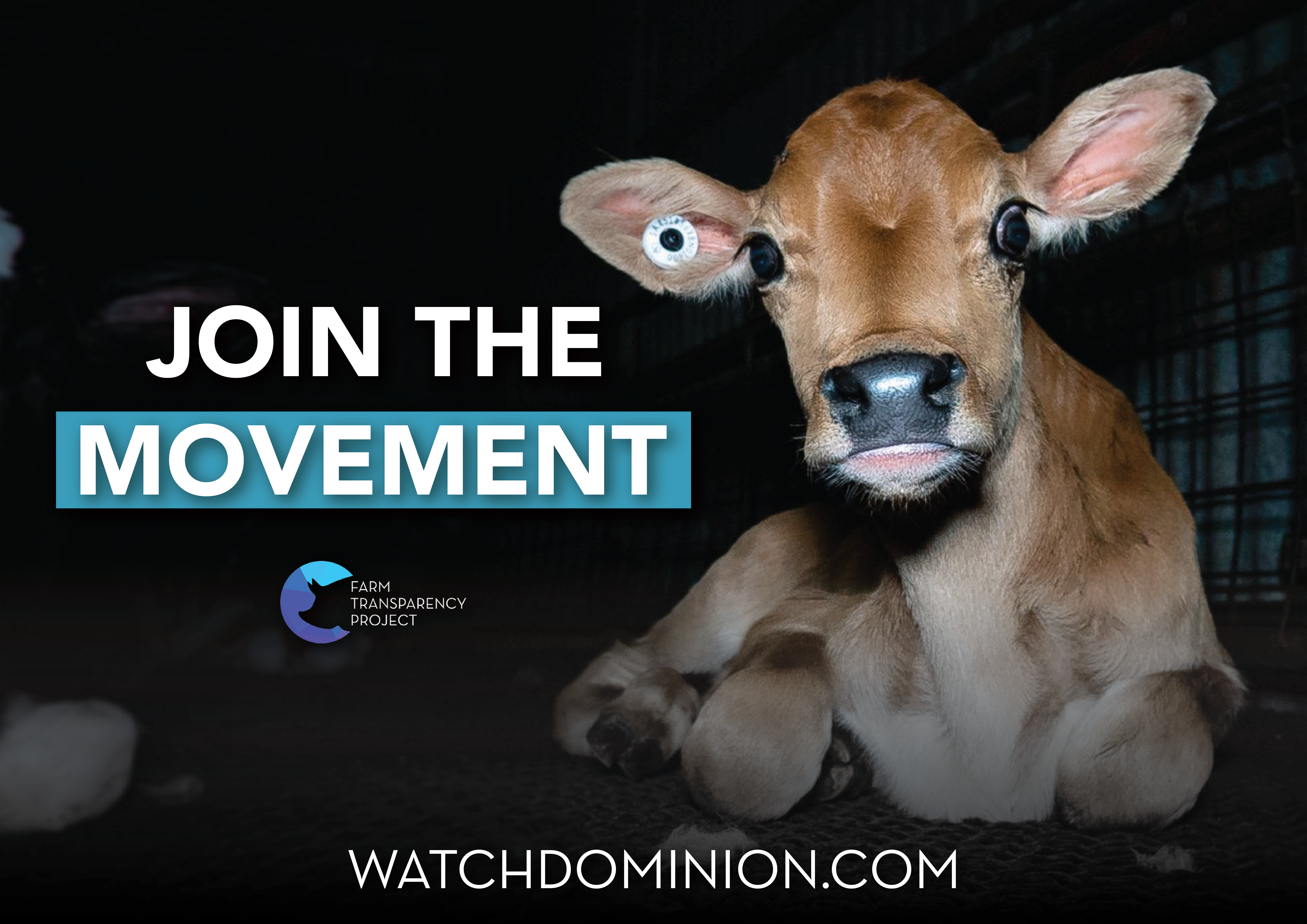 Join The Movement (Bobby Calf) Poster Design