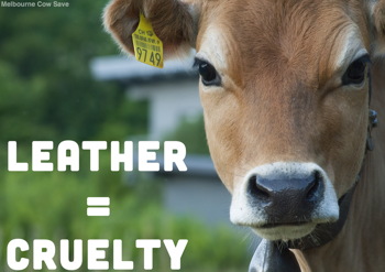 Leather = Cruelty poster