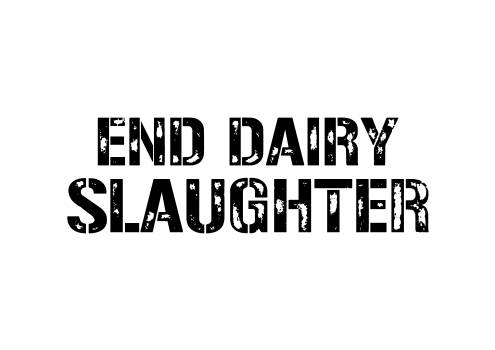 End Dairy Slaughter