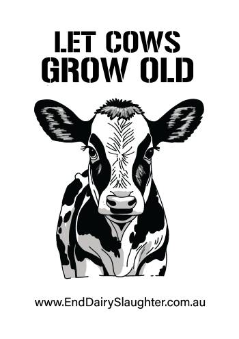 End Dairy Slaughter T-shirt
