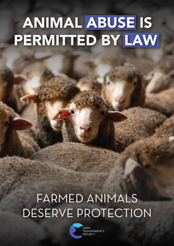 Animal Abuse Is Permitted By Law (Sheep) Poster Design