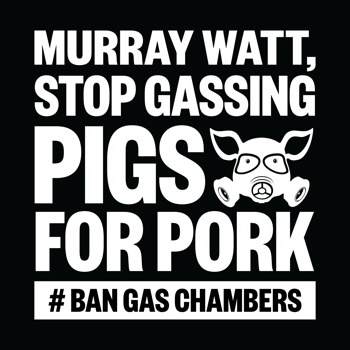 Ban Gas Chambers Social Media Storm (Murray Watt) - Instagram Tile (Black)