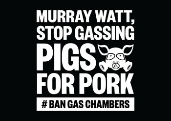 Ban Gas Chambers Social Media Storm (Murray Watt) - A4 Poster (Black)