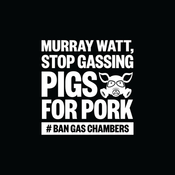 Ban Gas Chambers Social Media Storm (Murray Watt) - Profile Picture (Black)