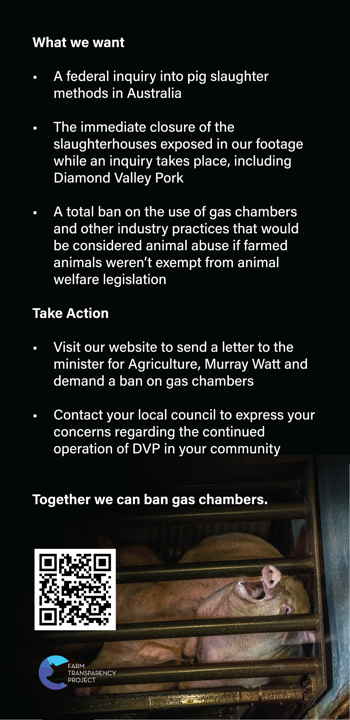 Ban Gas Chambers Leaflet (DL Back)