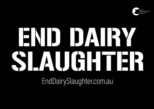 End Dairy Slaughter - Placard 6
