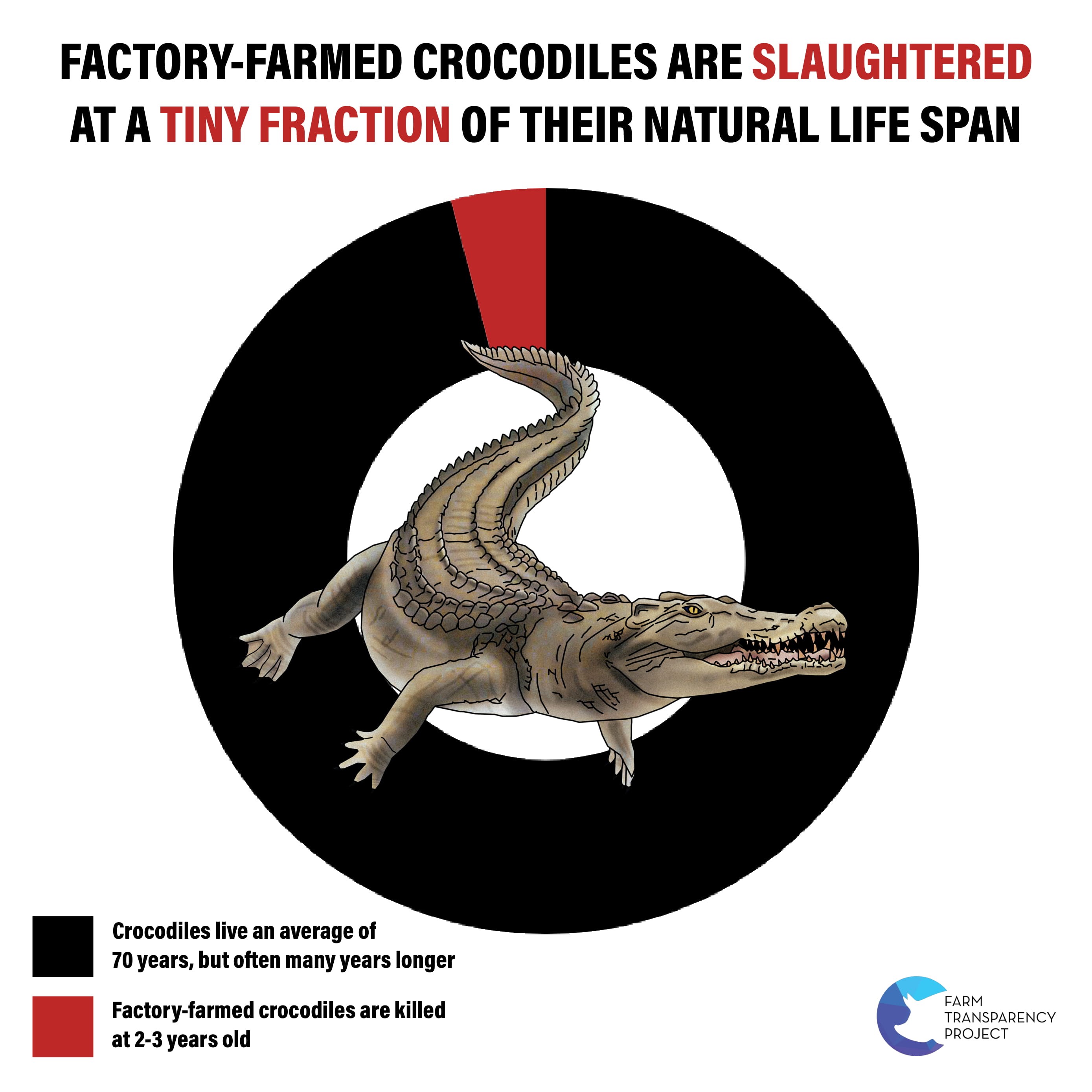 Tell Louis Vuitton to Stop Torturing Crocodiles — Species Unite