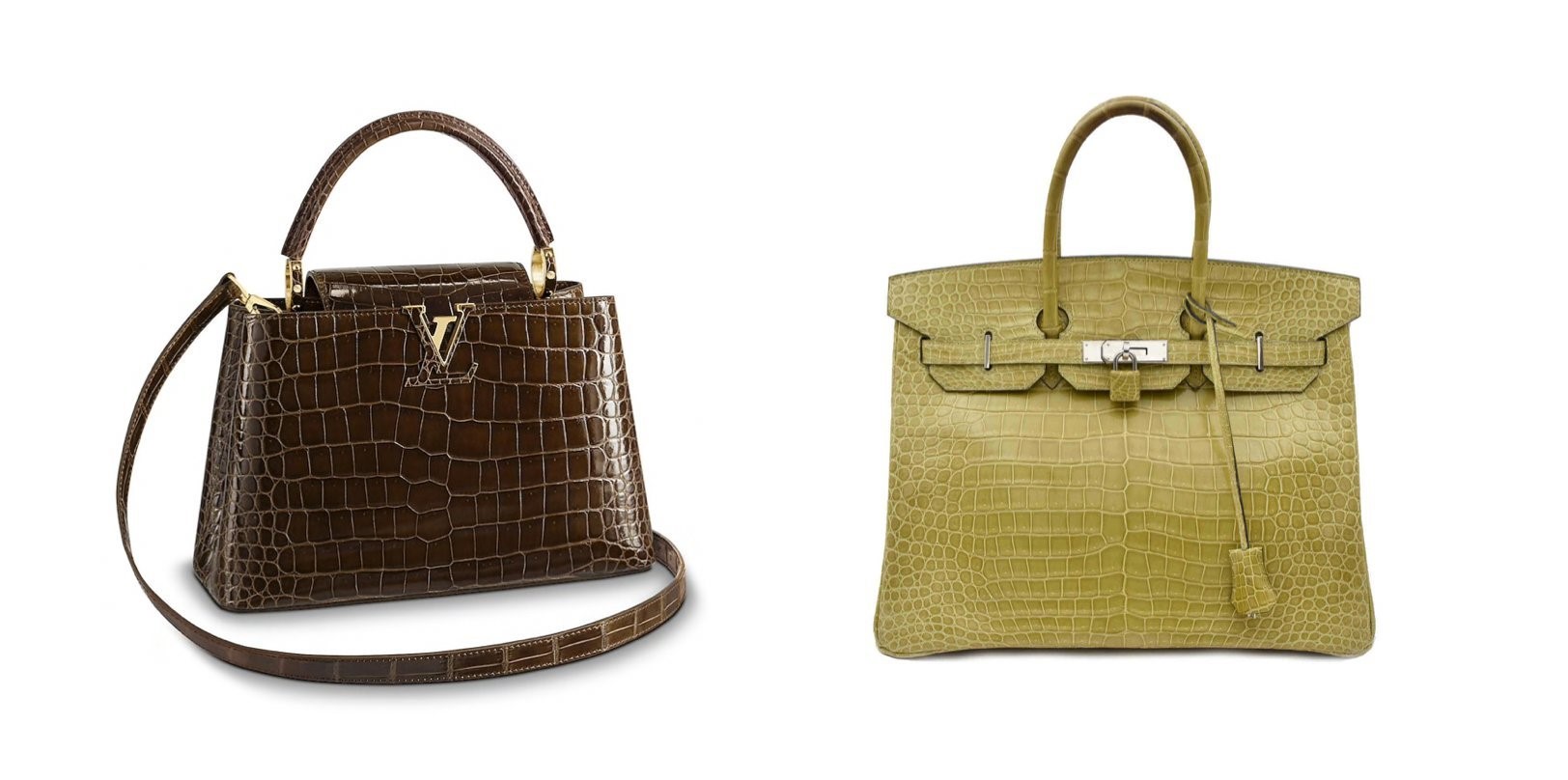 Louis Vuitton and Hermes turn our saltwater crocodiles into high fashion