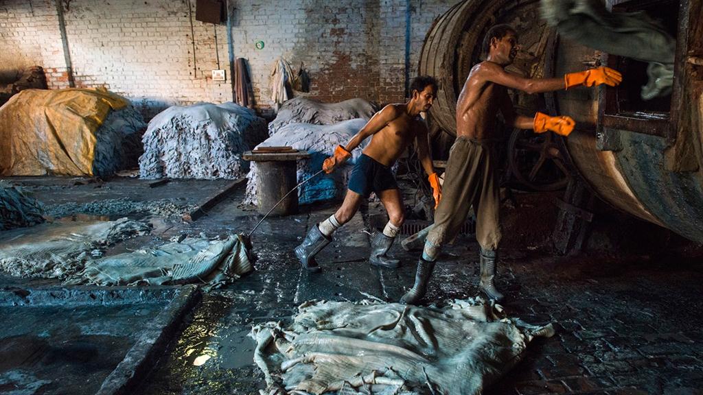 leather tannery workers dangerous blue wet hides