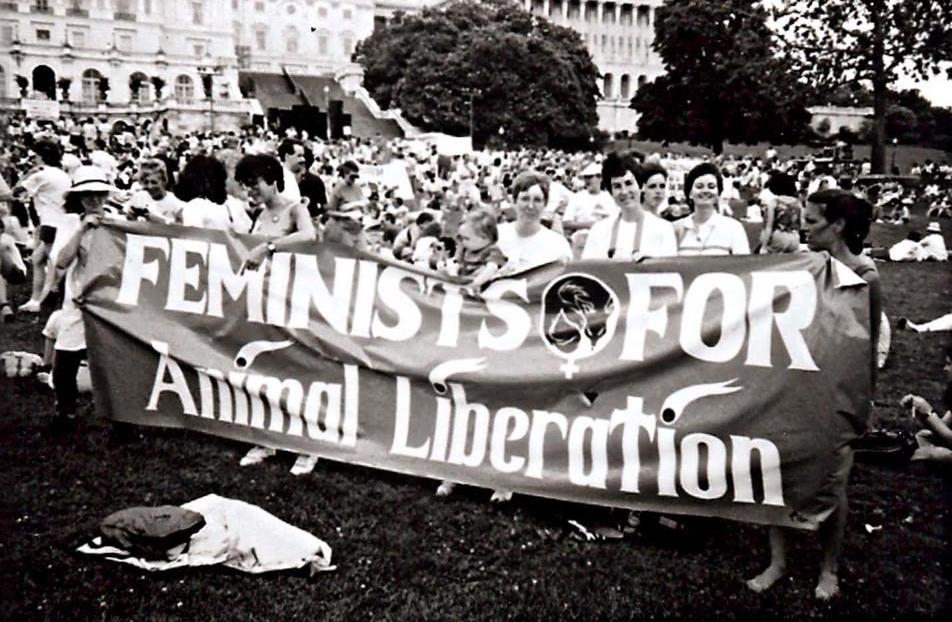intersectional activism, animal and women's rights