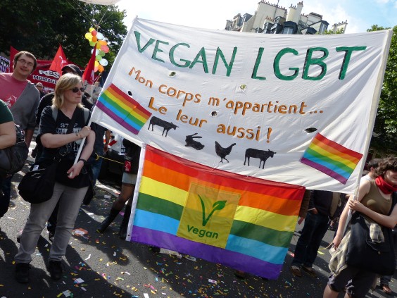 vegan LGBT activism