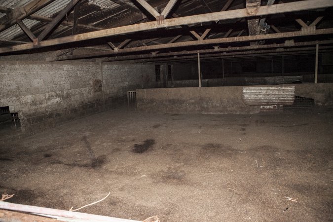 Empty grower shed