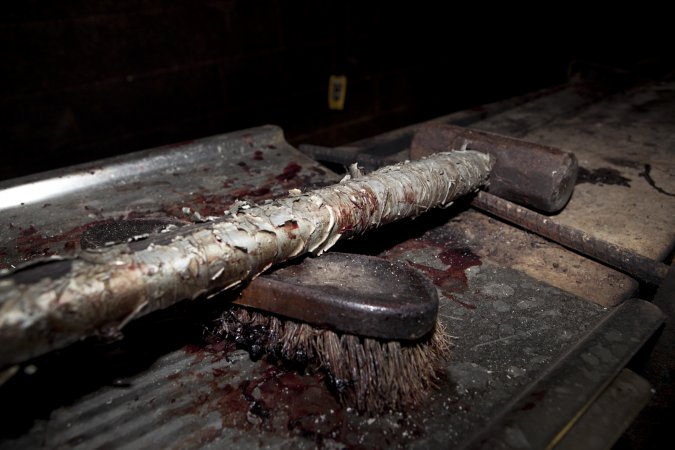Sledgehammer in slaughter room