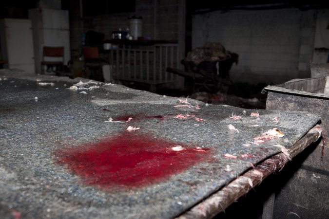 Bloody bench in slaughter room