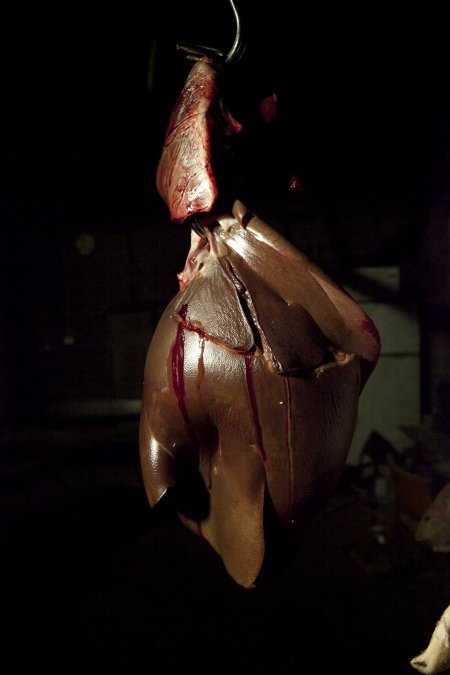 Pig's organs hanging on hook in slaughter room
