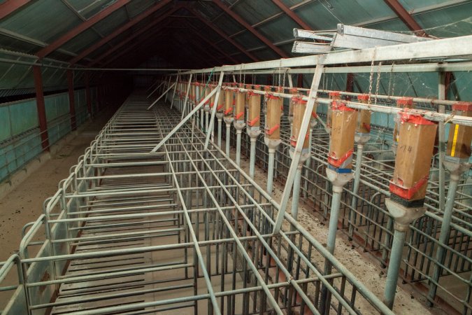 Empty sow stall shed