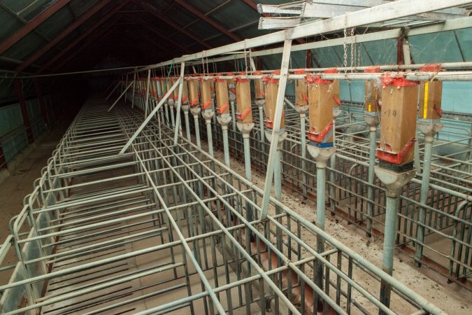 Empty sow stall shed
