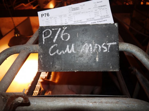 Signage on farrowing crate saying 'cull'