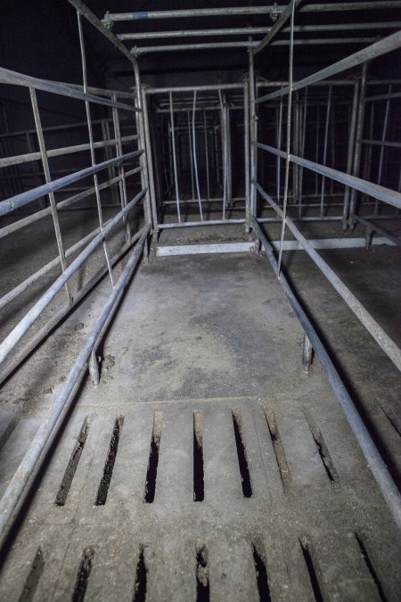 Empty converted sow stall