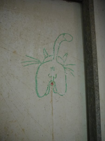 Cat drawing on wall