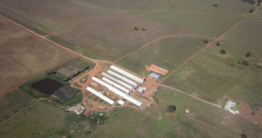 Aerial view of Selko piggery from helicopter