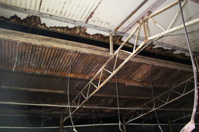Ceiling of breeding shed