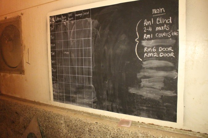 Farrowing chalkboard