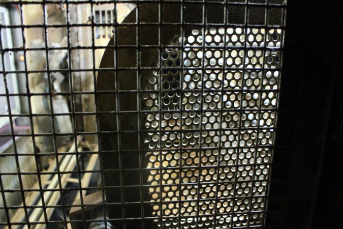 Gas chamber at Corowa slaughterhouse