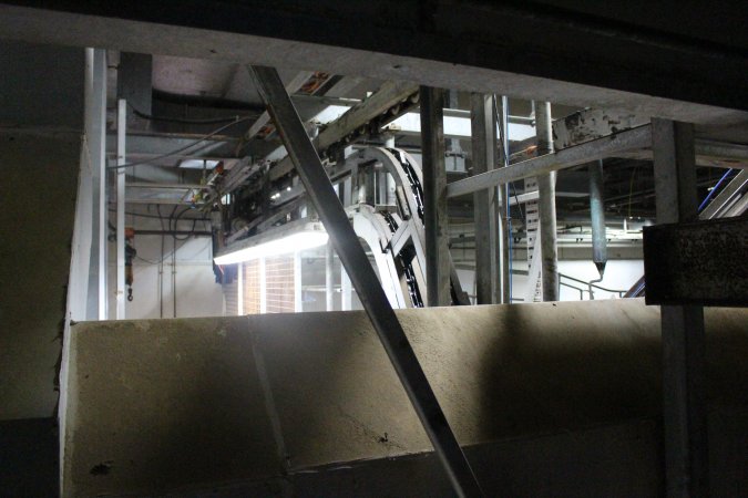 Killing and processing area after gas chamber