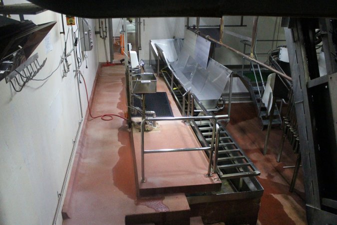 Killing and processing area after gas chamber