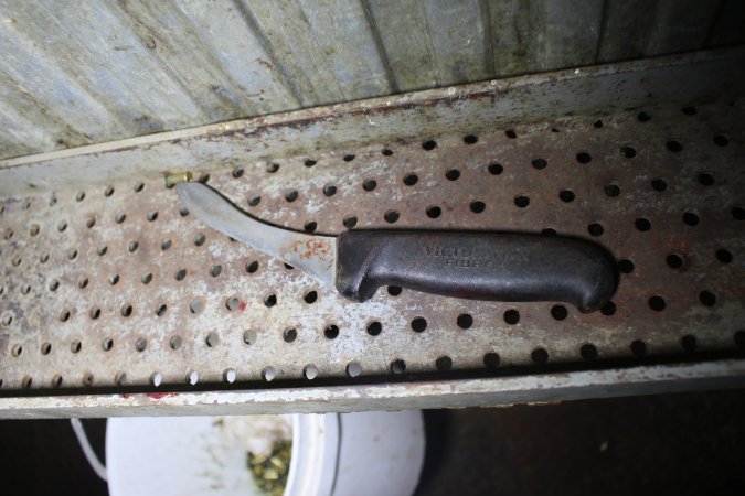 Knife near cattle knockbox