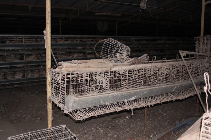 Empty cages in foreground, full three tiers in background