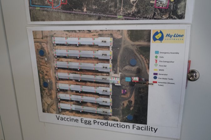 Map of Vaccine Egg Production Facility