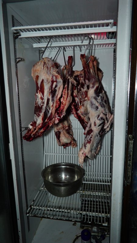 Hanging flesh of unknown animals in fridge of home slaughterhouse