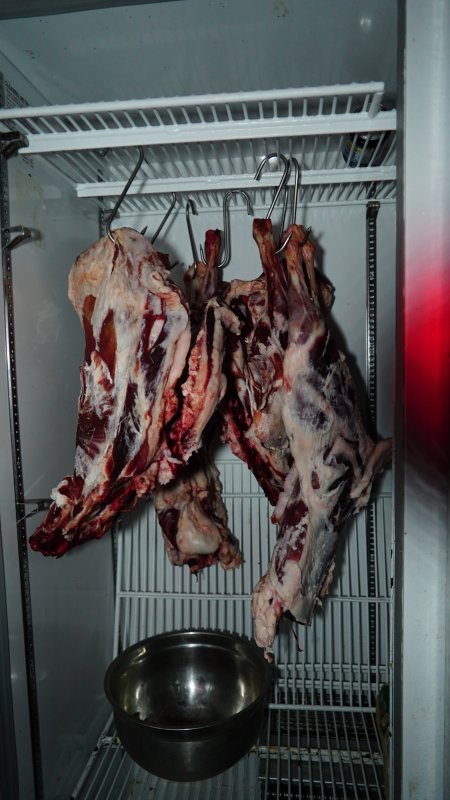 Flesh of unknown slaughtered animals hanging in fridge