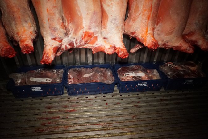 Sheep and pig carcasses in chiller room - Snowtown Abattoir