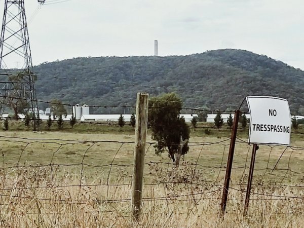 View of Premier Farms from Thompsons Creek Road