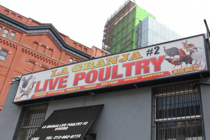 La Granja Live Poultry