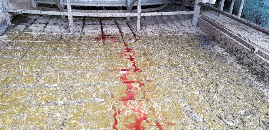Bloody floor