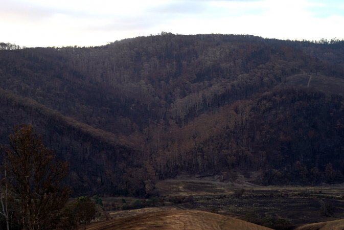 Aftermath of Australian Bushfires 2019-20