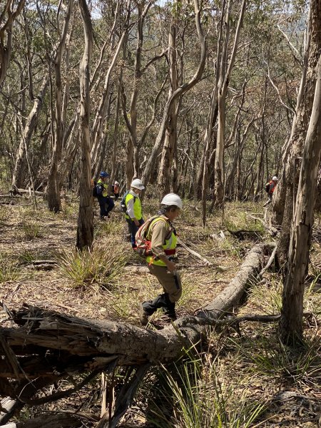 Aftermath of Australian Bushfires 2019-20