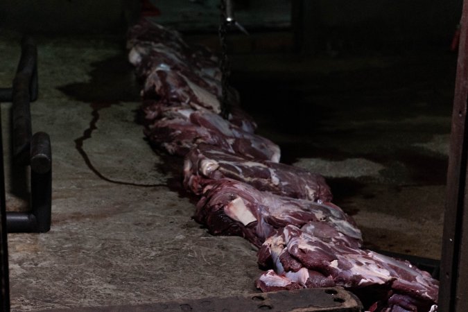 Blocks of meat laid out on kill floor