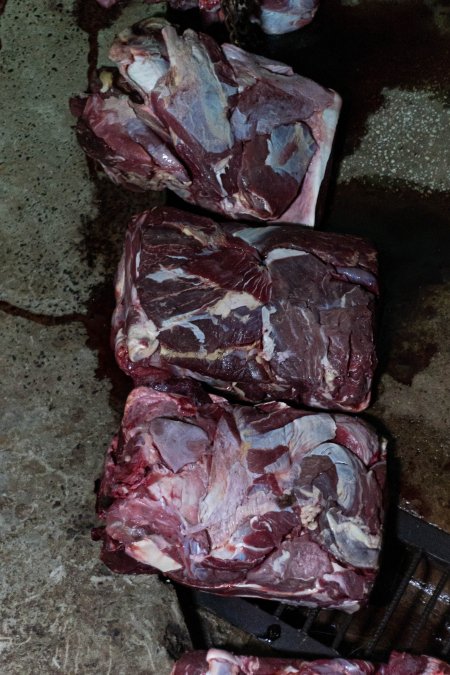 Blocks of meat laid out on kill floor