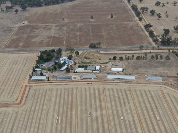 Drone flyover of turkey farm and abattoir